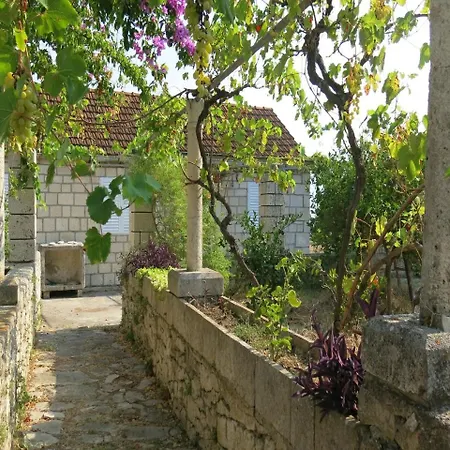 Authentic Island House With Sea View Tatil Evi